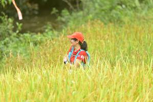 BIB: 
                            <button type="button" onclick="openModal(13434405)" class="btn btn-primary btn-sm float-right btn-popup" data-toggle="modal" data-target=".modal-high-quality">
                        <i class="fas fa-shopping-cart"></i> Add to Cart
                    </button>
                                            <button type="button" onclick="isThisMe(13434405, true)" class="btn btn-success btn-sm float-right btn-popup btn-isme hidden" data-toggle="tooltip" data-placement="bottom" title="นี่คือรูปของคุณใช่ไหม คลิกที่นี่เพื่อเอาเข้าอัลบั้ม">
                        <i class="fas fa-plus"></i> Add to album
                    </button>
                    <button type="button" onclick="isThisMe(13434405, false)" class="btn btn-warning btn-sm float-right btn-popup btn-isnotme hidden">
                        <i class="fas fa-ban"></i> Remove from album
                    </button>